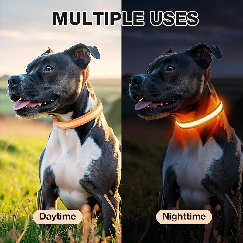 PcEoTllar Light up Dog Collar for Night Walking - LED Dog Collar Light Rechargeable Color Changing, Glow in The Dark Dog Collars Waterproof Glowing Dog Collars for Large Small Medium Dogs - Image 5